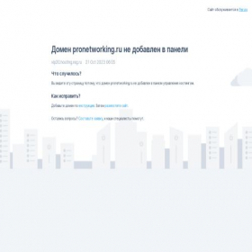 Скриншот главной страницы сайта pronetworking.ru