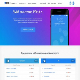 Скриншот главной страницы сайта prtut.ru