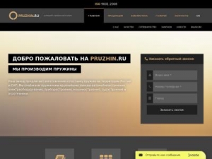 Скриншот главной страницы сайта pruzhin.ru