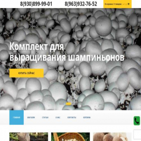 Скриншот главной страницы сайта r7000.ru