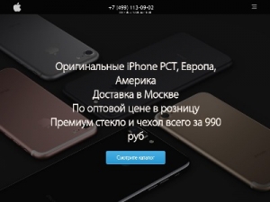 Скриншот главной страницы сайта re-store-com.ru