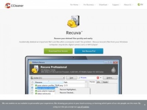 Скриншот главной страницы сайта recuva.com