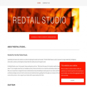 Скриншот главной страницы сайта redtail-studio.com
