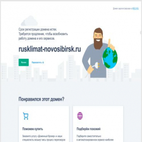 Скриншот главной страницы сайта rusklimat-novosibirsk.ru