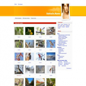Скриншот главной страницы сайта sakhalin.name