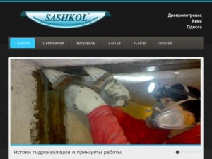 Скриншот главной страницы сайта sashkol.dp.ua