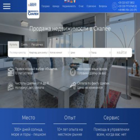 Скриншот главной страницы сайта scalearealty.ru
