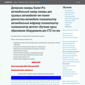Скриншот главной страницы сайта scaner-pro.ru