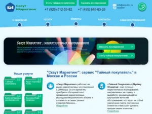 Скриншот главной страницы сайта scoutmr.ru