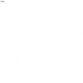 Скриншот главной страницы сайта script1.prothemes.biz