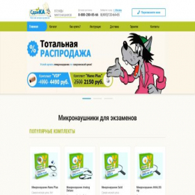 Скриншот главной страницы сайта sdayka.ru