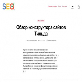 Скриншот главной страницы сайта seoinbiz.ru