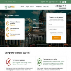 Скриншот главной страницы сайта ses-spb.ru