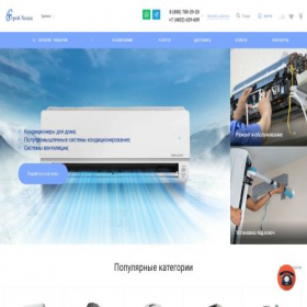 Скриншот главной страницы сайта shop-biz.ru