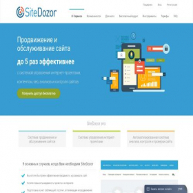 Скриншот главной страницы сайта sitedozor.ru