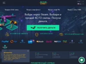 Скриншот главной страницы сайта skinscash.ru