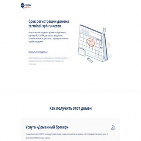 Скриншот главной страницы сайта terminal-spb.ru