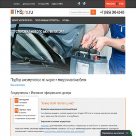 Скриншот главной страницы сайта thspro.ru