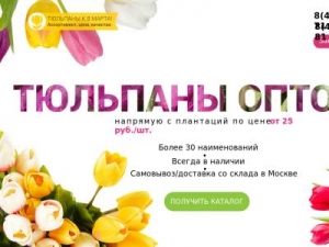 Скриншот главной страницы сайта tulpanopt.biz