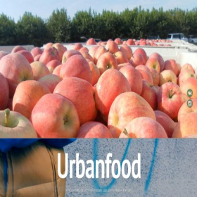 Скриншот главной страницы сайта urbanfood.ru