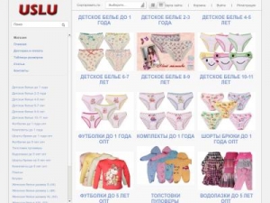 Скриншот главной страницы сайта uslu.ru