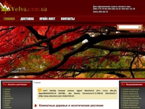 Скриншот главной страницы сайта velva.com.ua