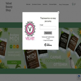 Скриншот главной страницы сайта velvet-rus.ru