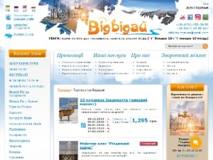 Скриншот главной страницы сайта vidviday.ua
