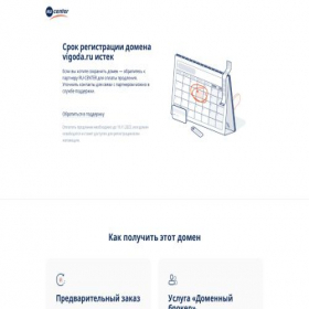 Скриншот главной страницы сайта vigoda.ru