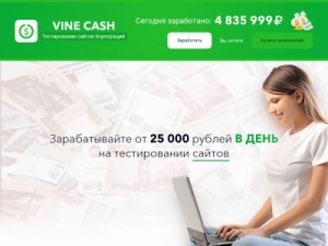 Скриншот главной страницы сайта vine-cash.info