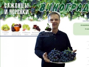 Скриншот главной страницы сайта vinogradsar.ru