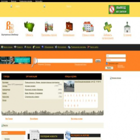Скриншот главной страницы сайта virtvladimir.ru