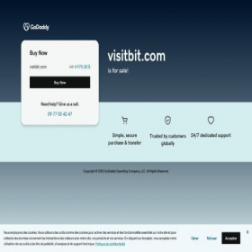 Скриншот главной страницы сайта visitbit.com