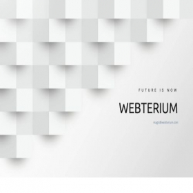 Скриншот главной страницы сайта webterium.com