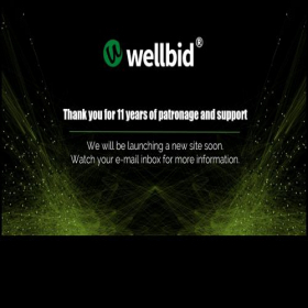 Скриншот главной страницы сайта wellbid.com