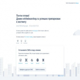 Скриншот главной страницы сайта whitebearshop.ru