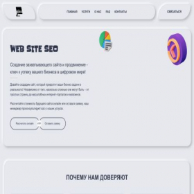 Скриншот главной страницы сайта wsseo.ru