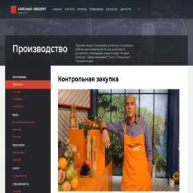 Скриншот главной страницы сайта zakupka.tv